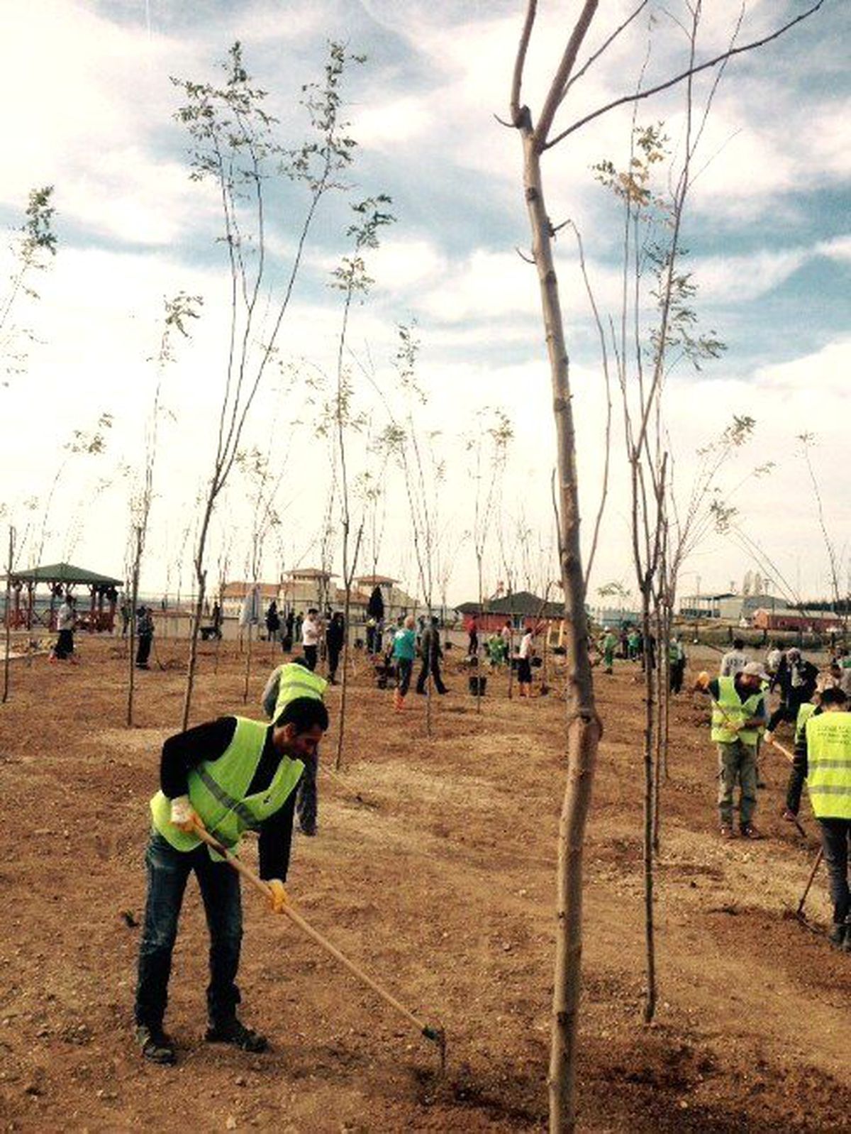 Dilovası Park ve Bahçeleri Bakımdan Geçiriliyor