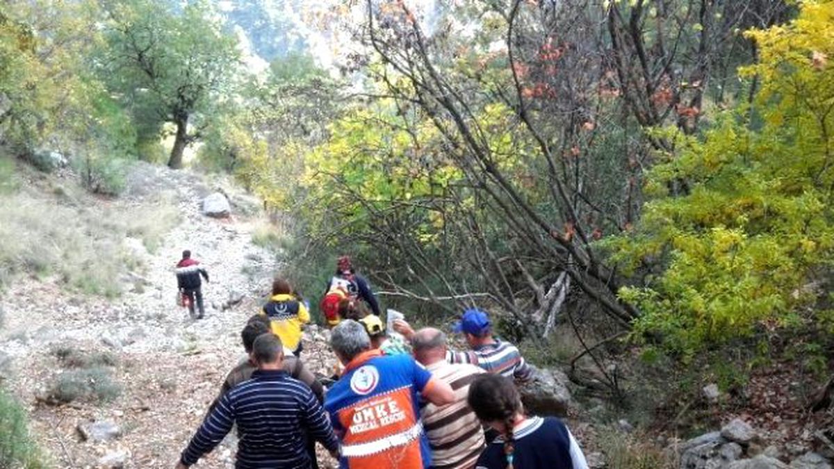 Fethiye\'de Zeytin Ağacından Düşen Yaşlı Adam Hastanelik Oldu