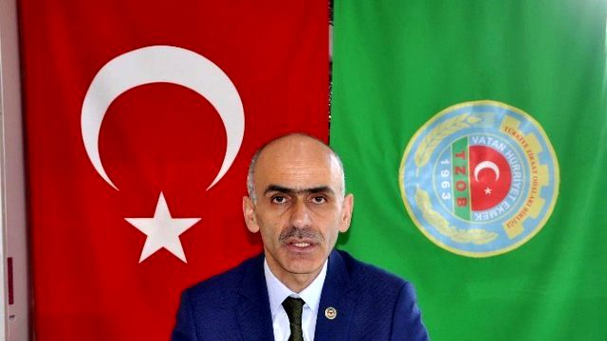 Fındık Fiyatlarındaki Hızlı Düşüş Üreticiyi Endişelendiriyor