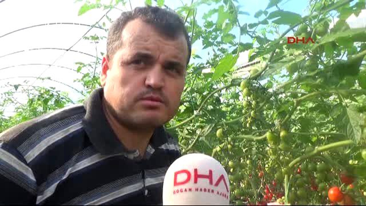 Kumluca Üretici Başka İhracat Kapısı İstiyor