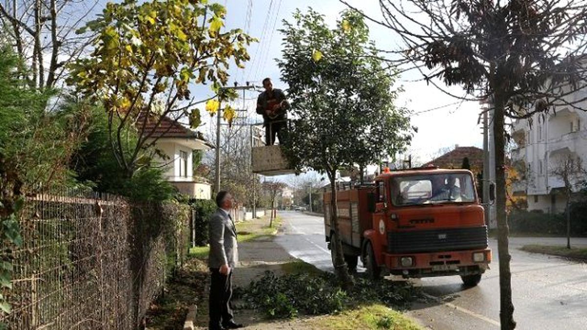 Sapanca İpekyolu Caddesi\'ne Çevre Bakımı Yapıldı