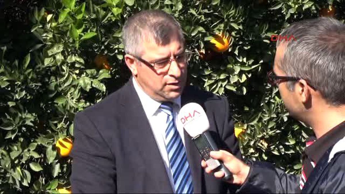 Adana Turunçgil Üreticileri, Rusya Krizinin Sona Ermesini Bekliyor