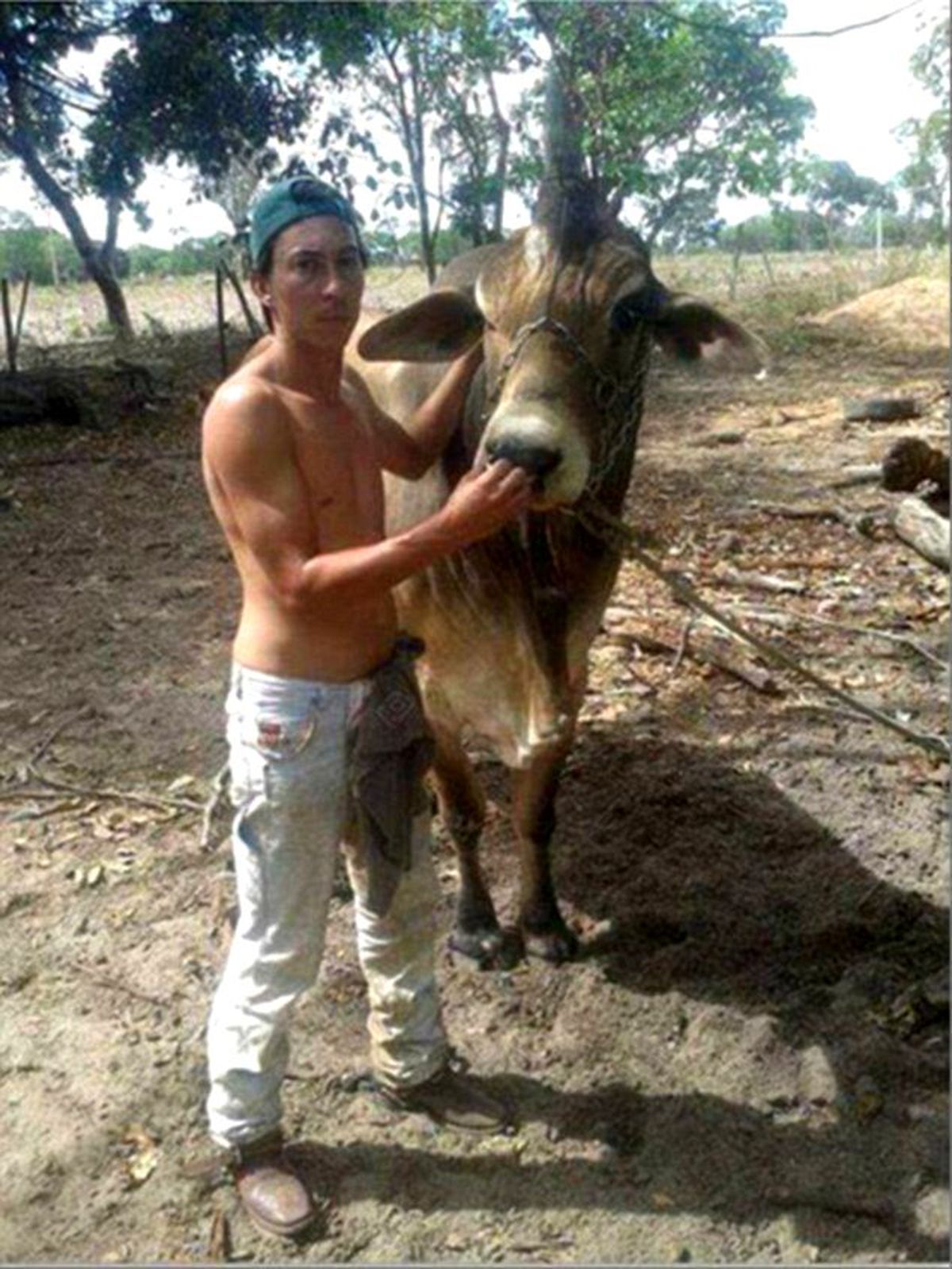 Brezilya\'nın Tek Boynuzlu Boğası Efsane Haline Geldi