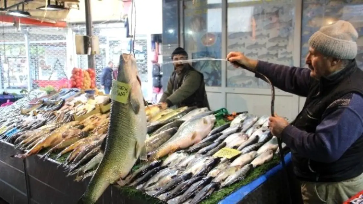 Elazığ\'da Dev Turna Balığı Yakalandı