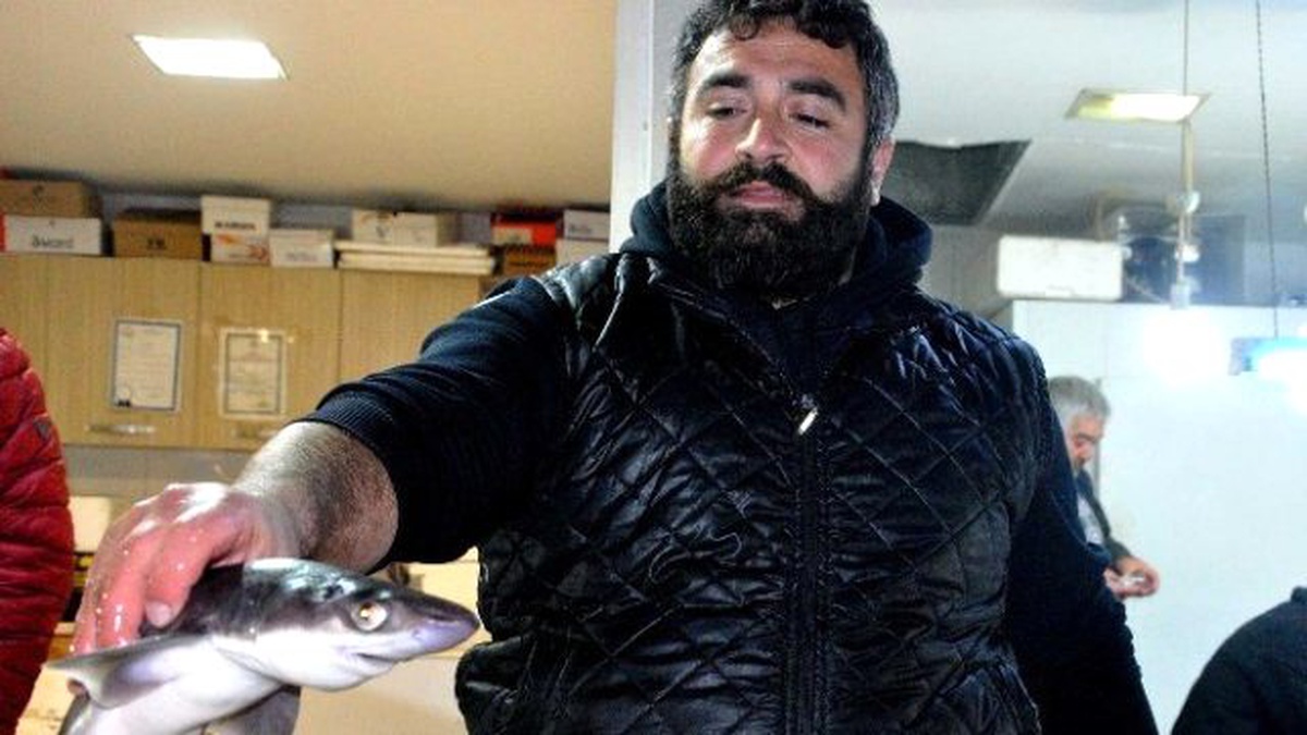 Hamsinin Peşine Takılan Köpek Balığı Balıkçı Ağlarına Takıldı