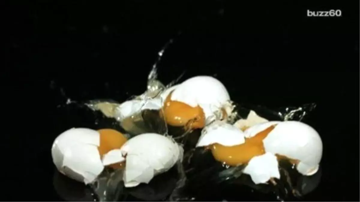 Mom Takes Daughter On Neighborhood Egging Spree