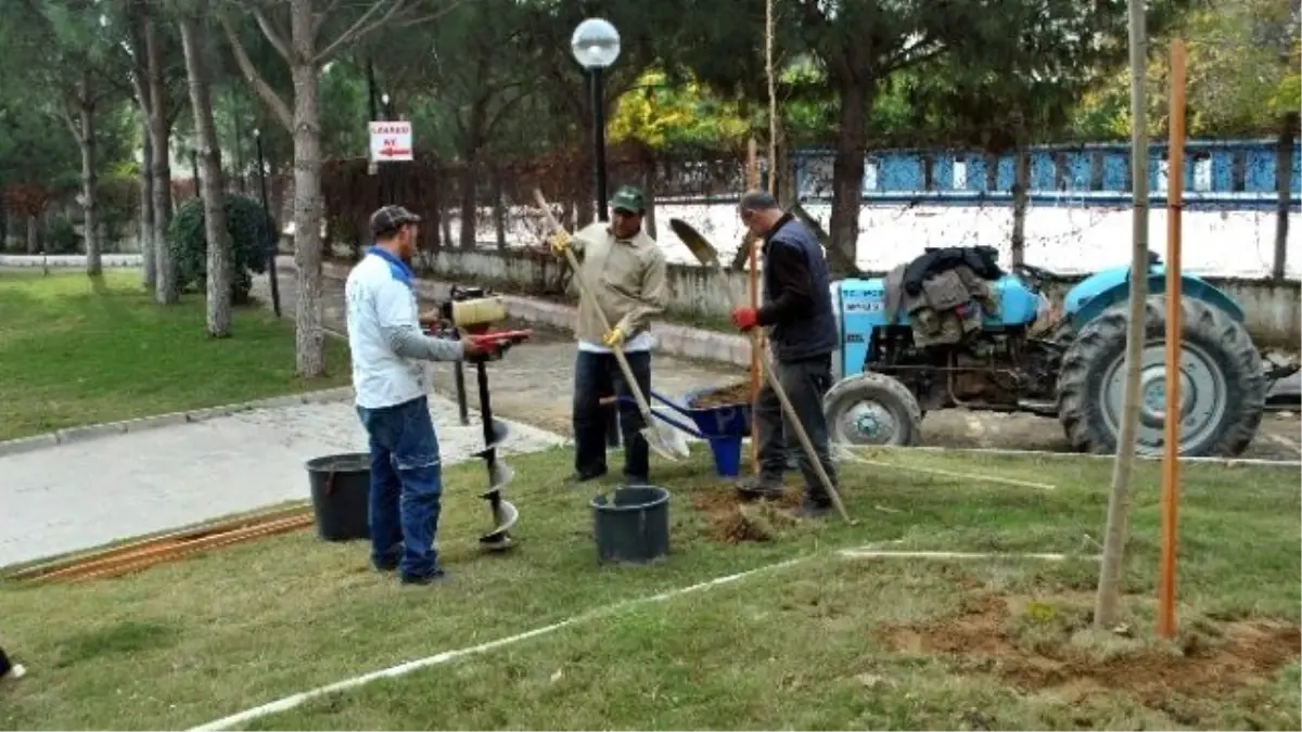 Park İncirliova Fidan Dikimleri Başladı