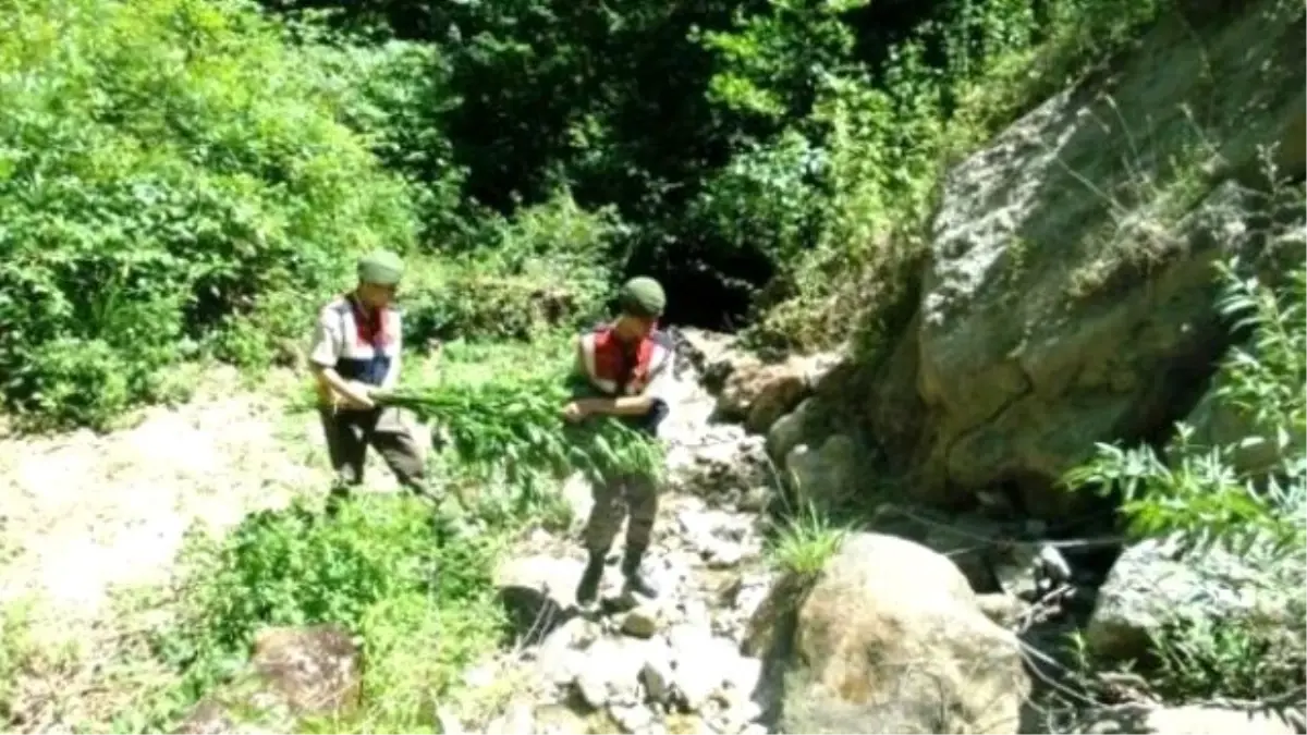 Parmak İzinden Yakalanan Zanlı Tutuklandı