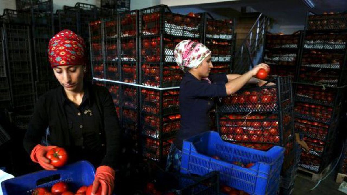 Dünya Devinin Analizi! Türkiye-Rusya Savaşını Kim Kazanacak