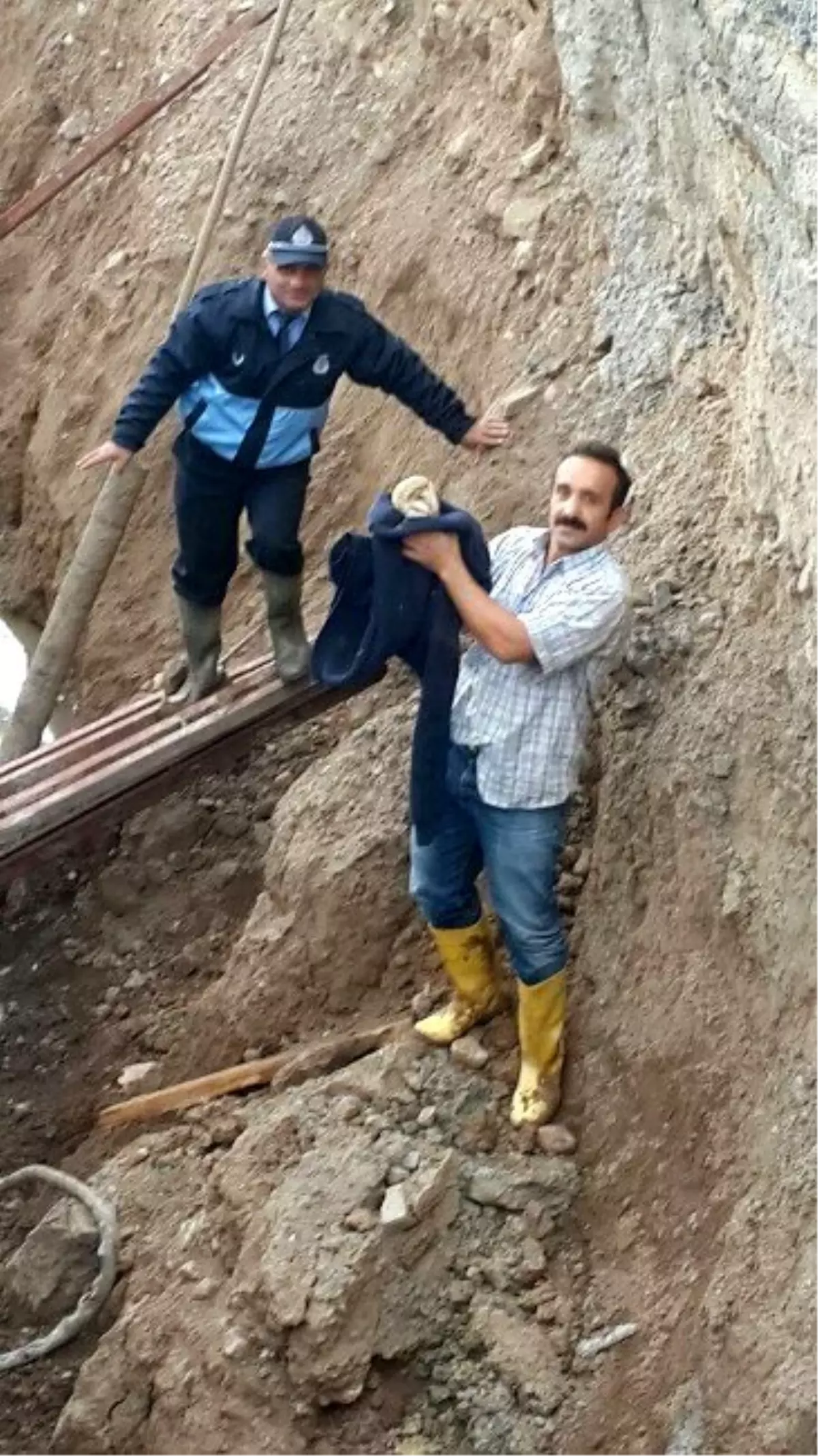 Yaralı Baykuşun İmdadına Zabıta Yetişti