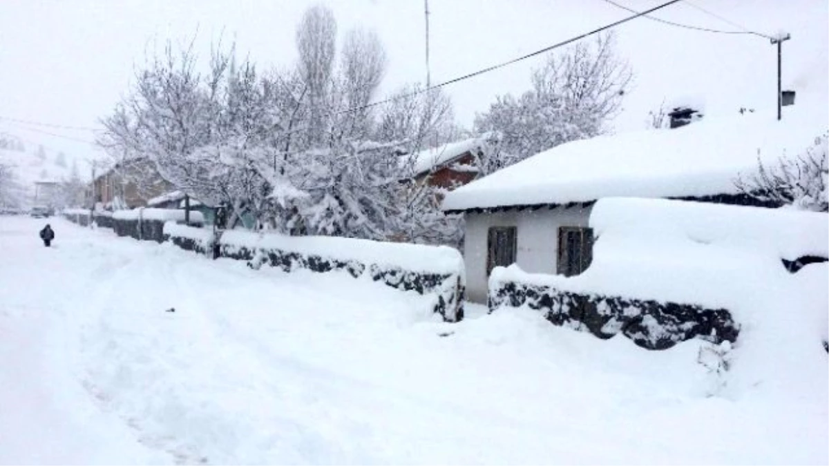 Bitlis\'te Kara Kış