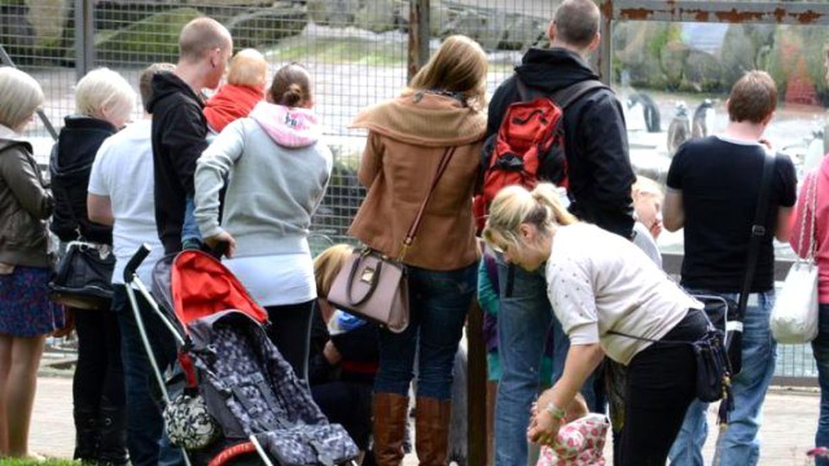 Hayvanat Bahçesinde Esrarengiz Olaylar