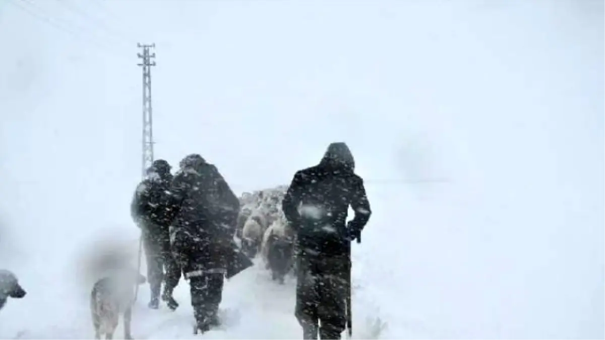 In Photos: Herds Stuck İn Snow Saved By Villagers, Teams