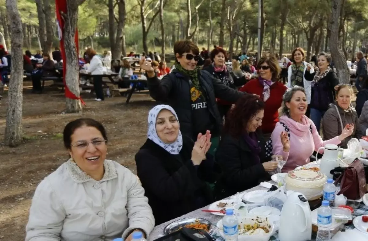 Konaklı Kadınların Piknik Keyfi