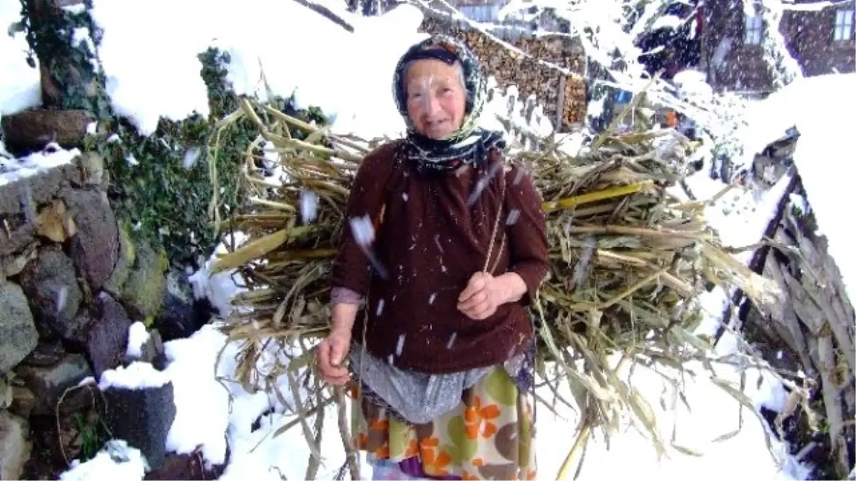 Rize\'de Soğuk Hava ve Kar Yağışı Hayatı Güçleştiriyor