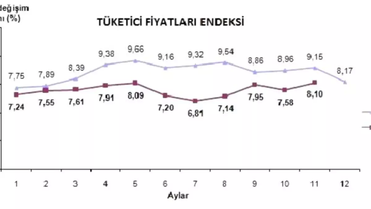 Tüketici Fiyatları Kasım\'da Yüzde 0.67 Arttı, Yıllık Enflasyon Yüzde 8.10 (2)