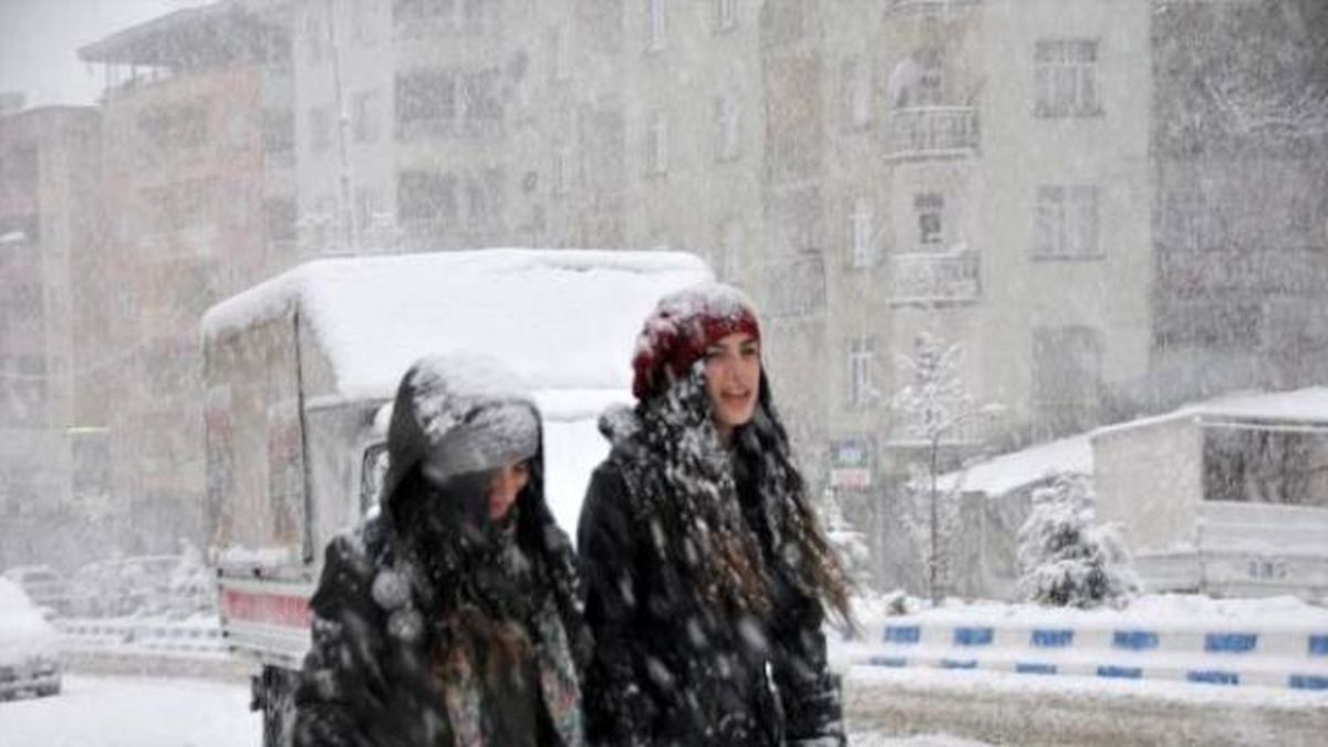 Van, Hakkari ve Bitlis'te Kar Yolları Kapattı