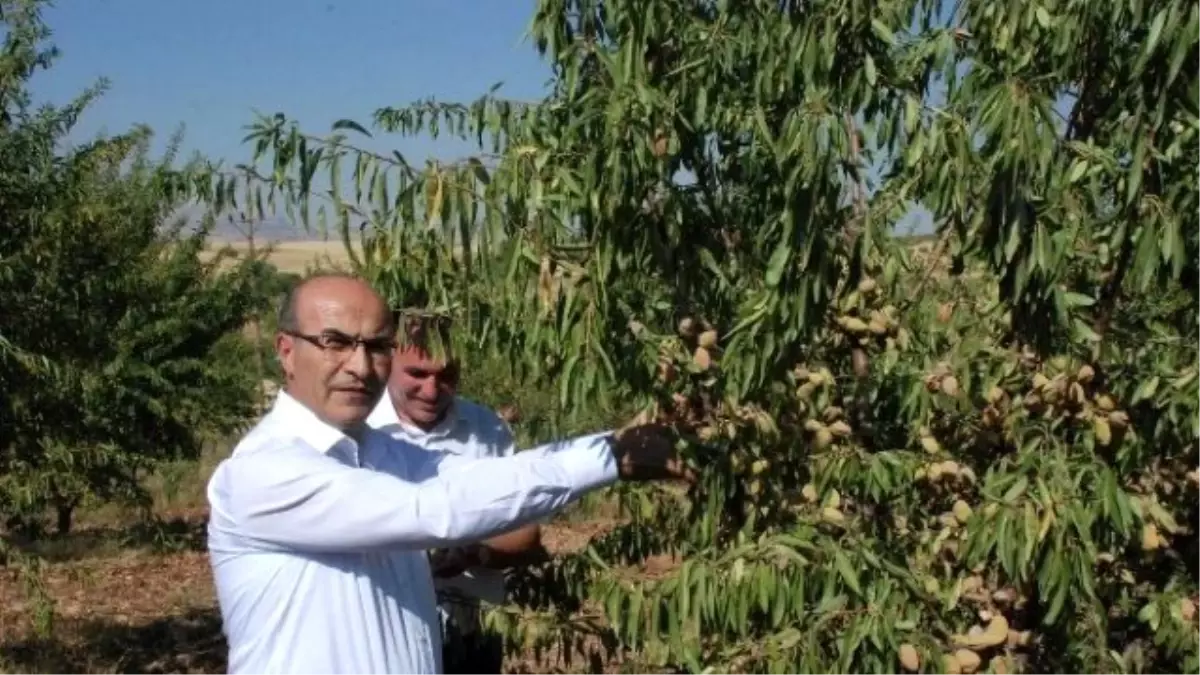 Adıyaman\'da, Tarımsal Projelere Büyük Destek