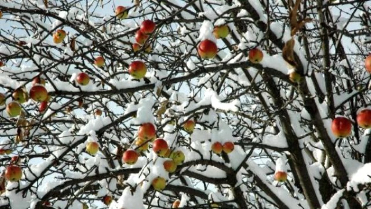 Ardahan\'da Kar Yağışı Ulaşımı Aksattı