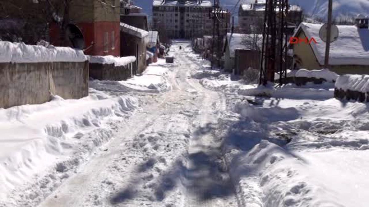 Bitlis Doğu\'da Kar Hayatı Durma Noktasına Getirdi