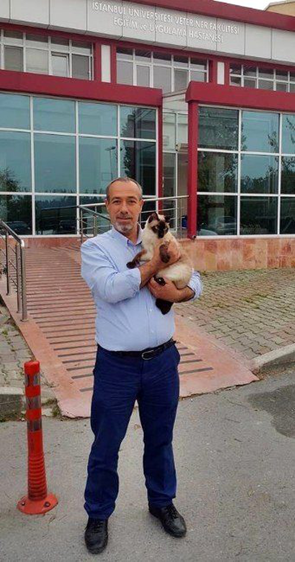 Köpeklerin Kavgasını Ayırırken Kalbine Yenildi