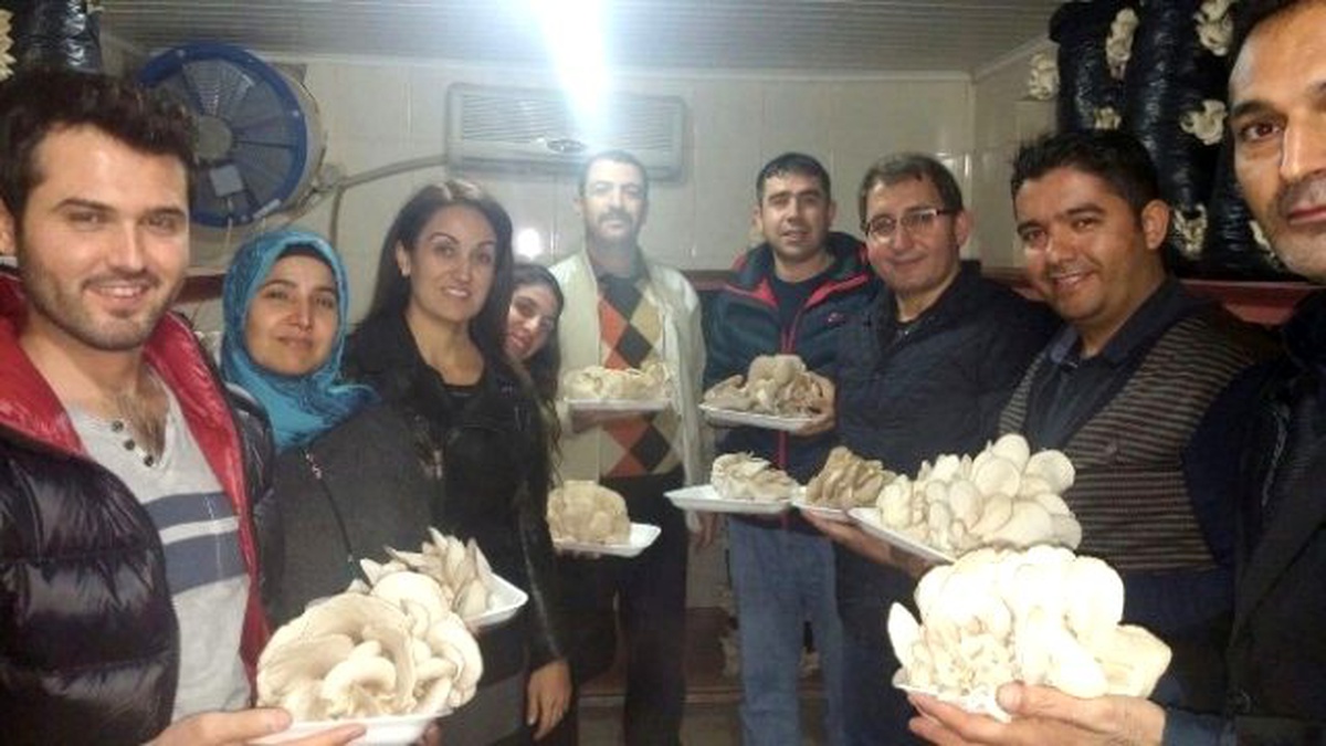 Tarsus Belediyesi\'nden İstiridye Mantarı Yetiştiriciliği Kursu