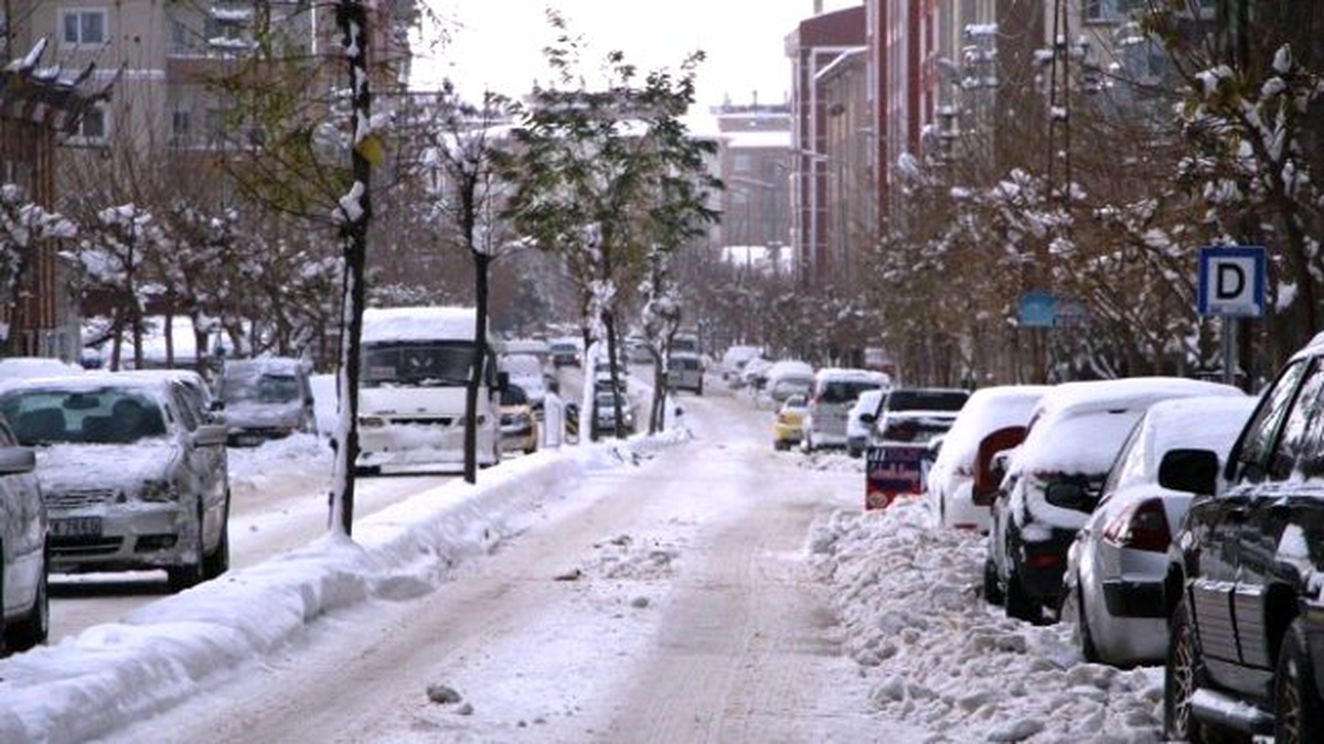 Van\'da Kar Yağışı Hayatı Felç Etti