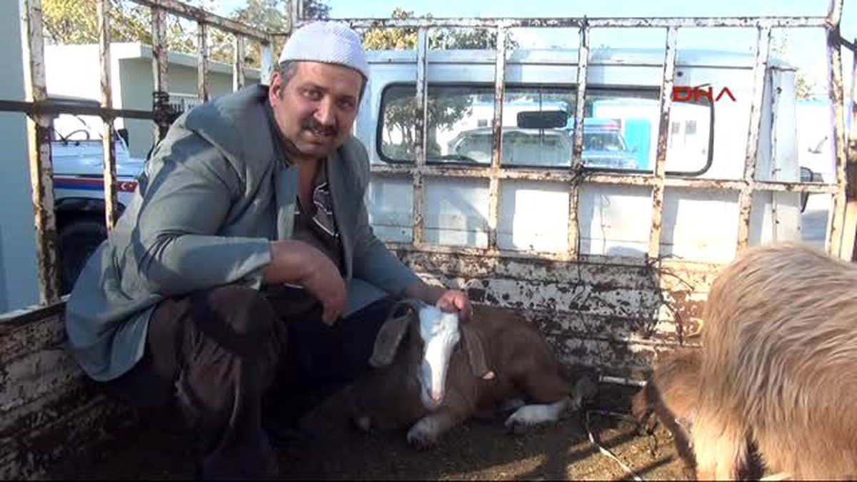Antalya - Hayvan Hırsızları Jandarmaya Yakalandı