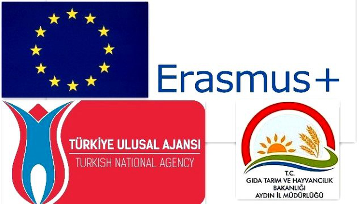 Aydın\'ın Organik Zeytin ve Zeytinyağı Üretimi Projesi Desteklenmeye Değer Bulundu