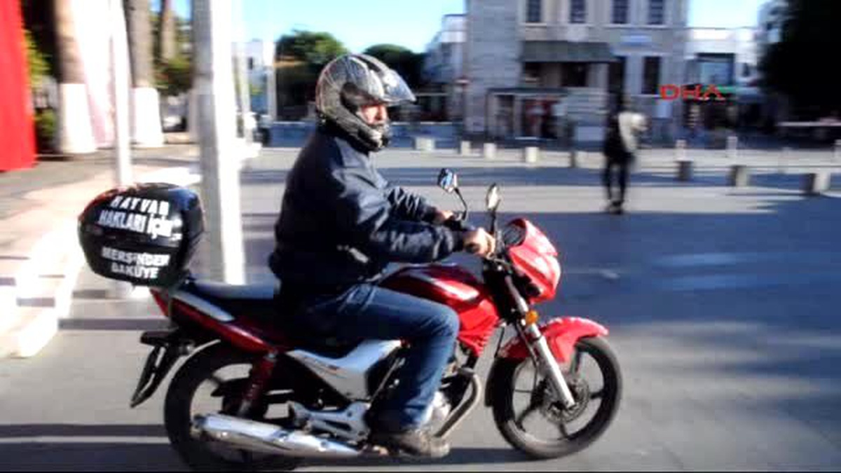 Bodrum Sokak Hayvanlarının Ses Olmak İçin 15 Bin Kilometre Yol Yaptı