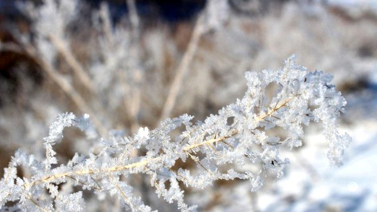 Eksi 17 Derece\'yi Gören Erzurum\'da Gölet ve Dereler Buz Tuttu