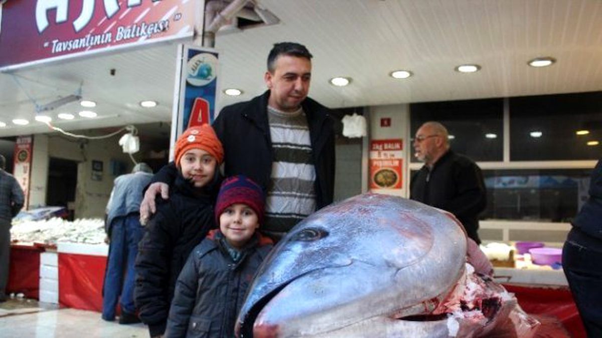 Tavşanlı\'da Dev Orkinos Görenleri Şaşırttı