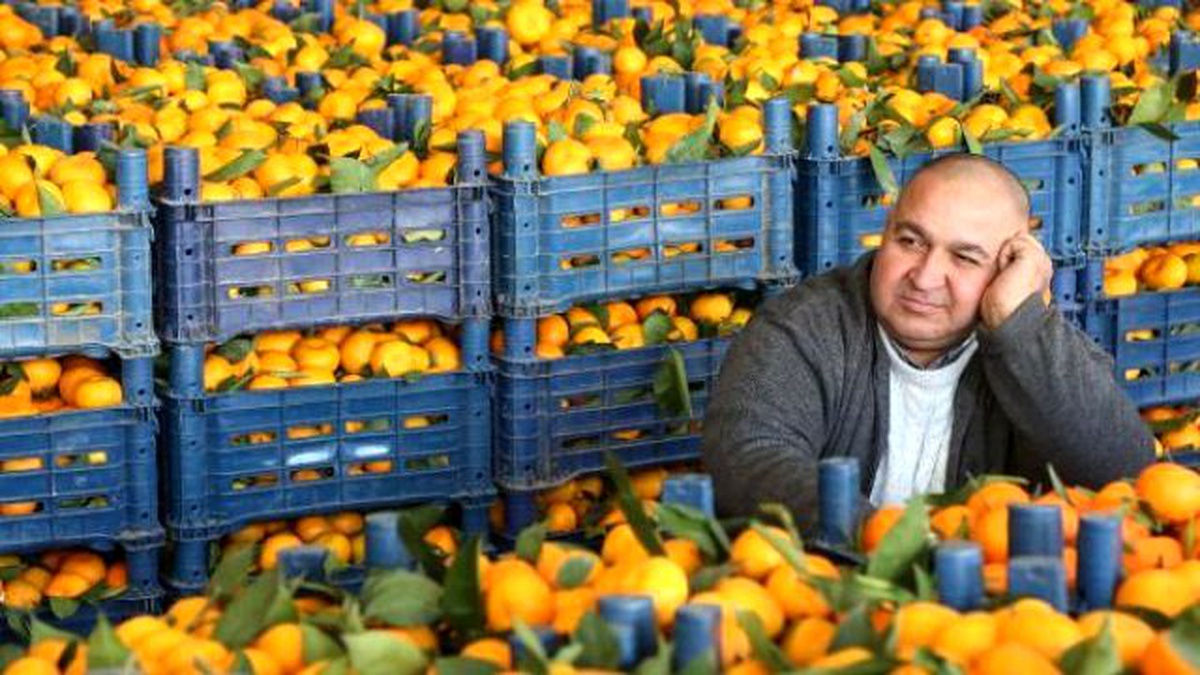 Yaş Sebze ve Meyvede Psikolojik Çöküş