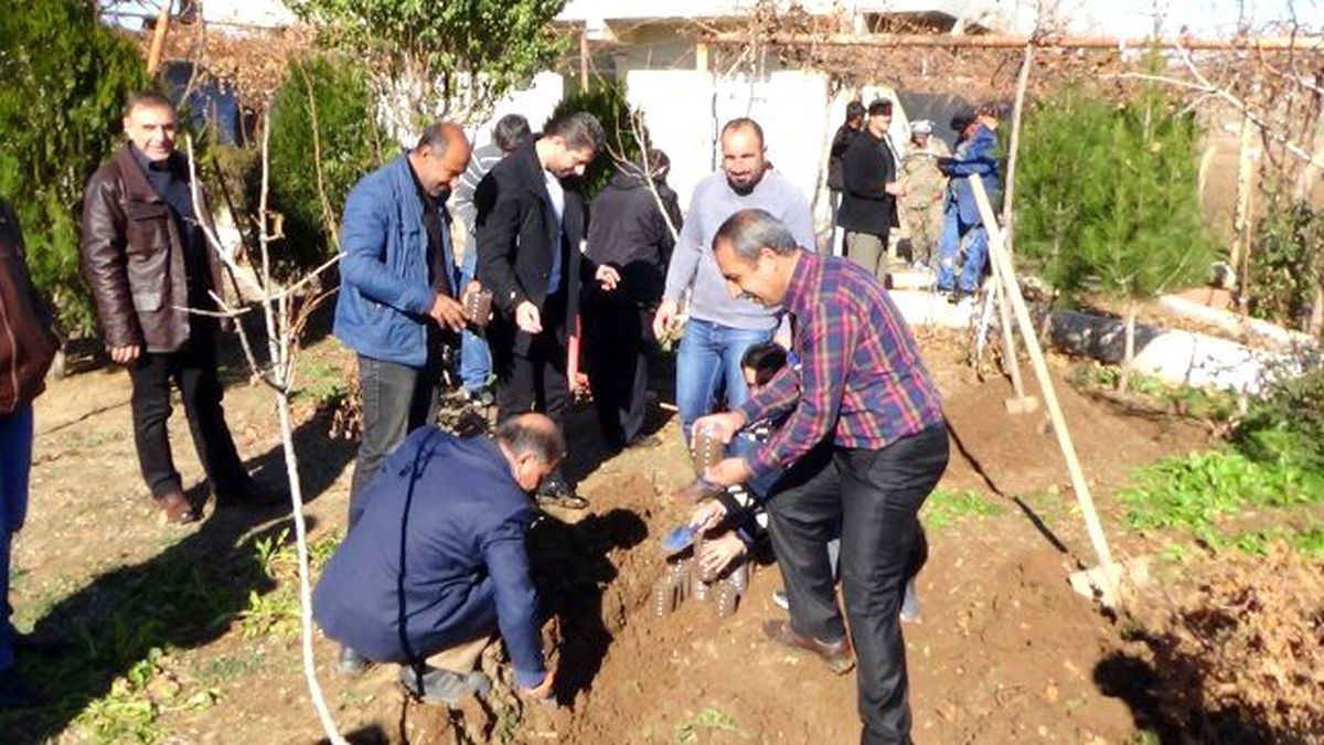 1.000 Meşe Palamudu Baharda Toprakla Buluşacak