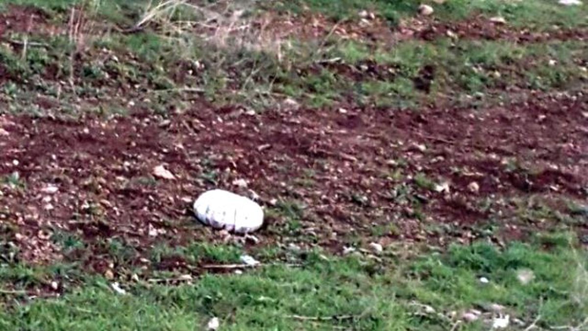 Mehmetçik, Hakkari'de Yola Döşenen İki Mayın İmha Etti