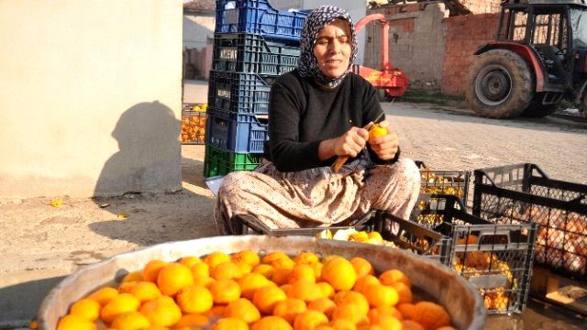 Mandalina Soyarak Para Kazanıyorlar