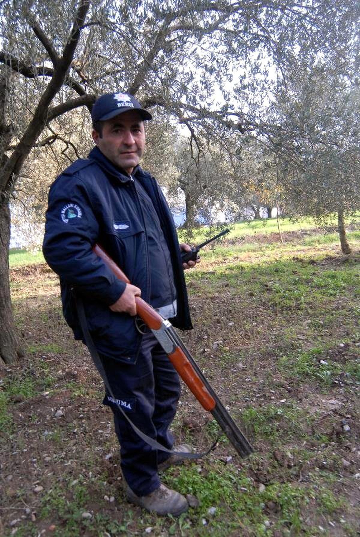 Zeytinde Zamlı Fiyat Üreticiyi Bile Korkuttu