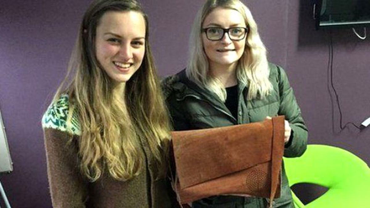 Alışverişten Caydıran Çanta