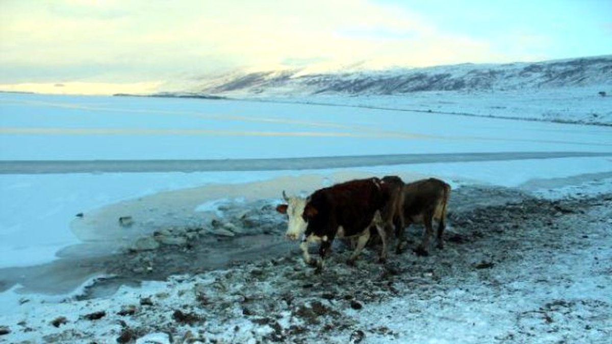 Doğu\'da Sibirya Soğukları Göl ve Dereleri Dondurdu