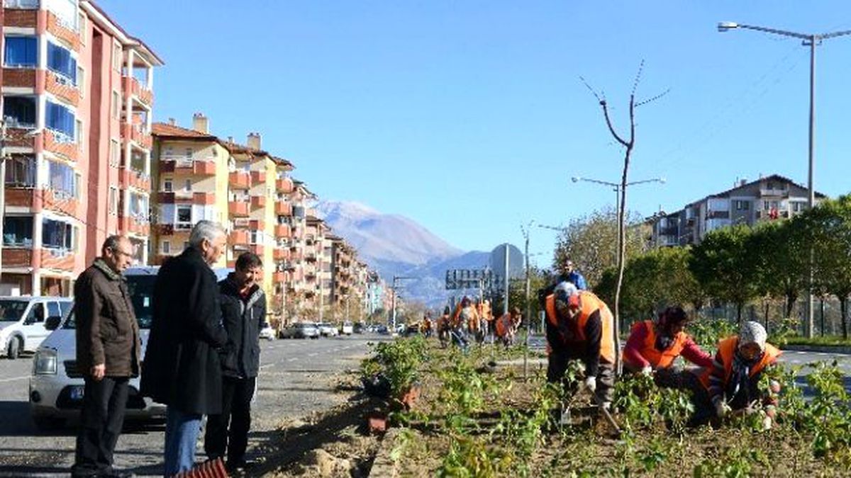 Isparta\'ya Bir Milyon Gül