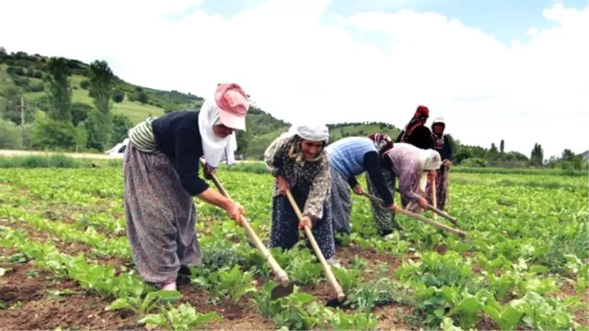 Zahirecinin Sahte Makbuzu Köylüleri Devletle Mahkemelik Yaptı