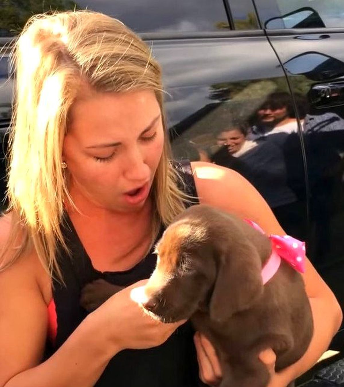 Genç Adam, Köpeğin Tasmasına Sakladığı Alyansla Evlilik Teklifinde Bulundu