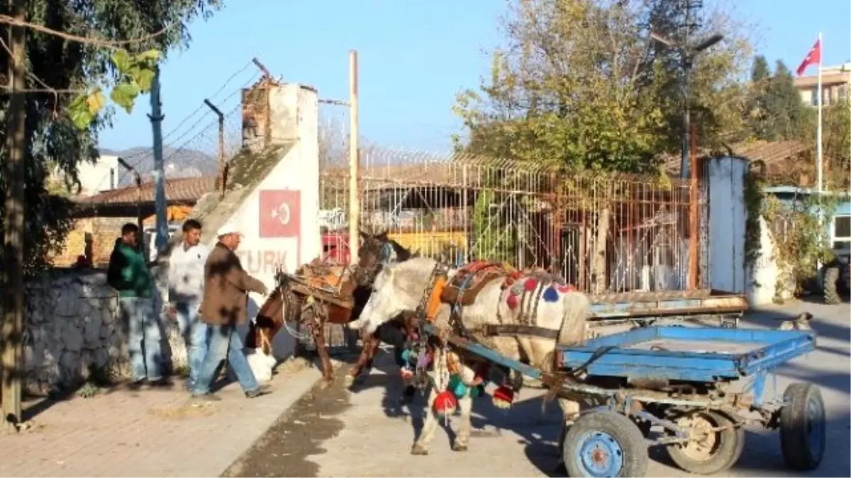 At Arabacılığı da Teknolojiye Yenik Düştü