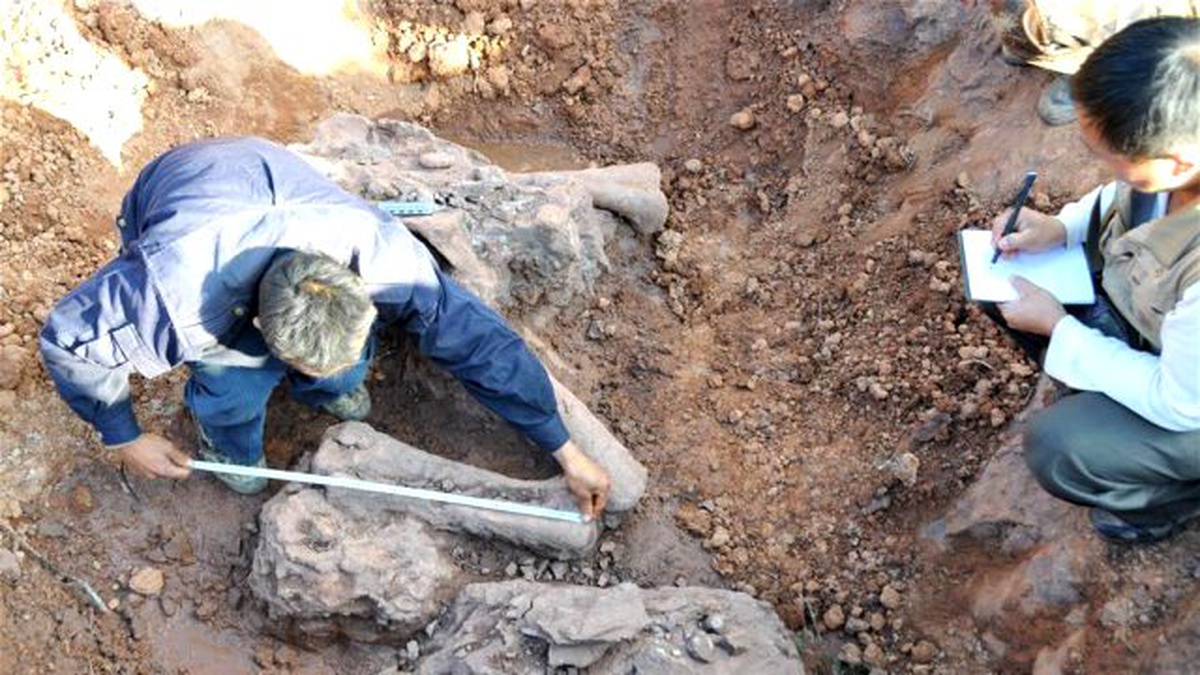 Çin\'de 180 Milyon Yıllık Dinozor Fosili Bulundu