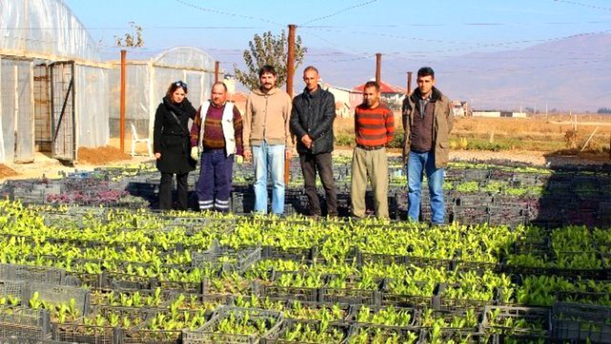 Daha Yeşil Bir Alaşehir İçin Çalışıyorlar