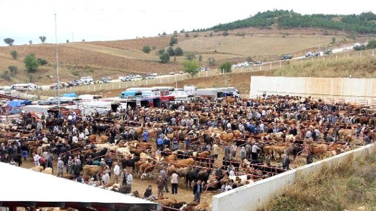 Kastamonu Hayvan Pazarı\'nda Üst Düzey Önlem Alındı
