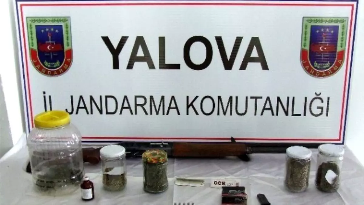 Yalova Jandarmasından Uyuşturucu ve Kaçak Mazot Operasyonu