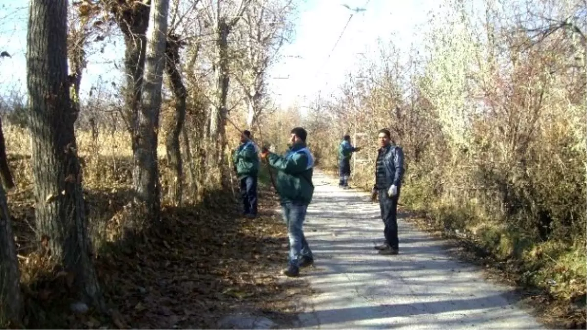 Yeşilyurt Belediyesi, Ağaçları Buduyor