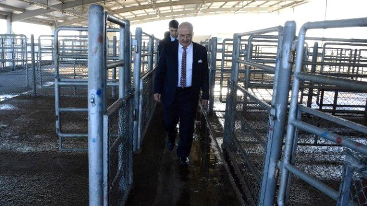 Büyükşehir Belediyesi\'nden Tarsus Mezbahasına Soruşturma