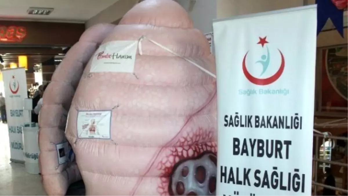 Koca Ciğer\' Bayburt\'ta Sergilendi